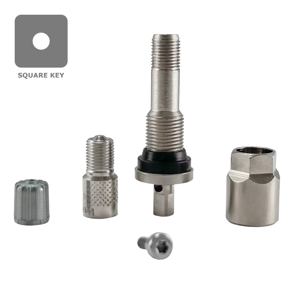 Dill VS241 TPMS Aluminum Stem Service Kit for 2017  Ford Super Duty