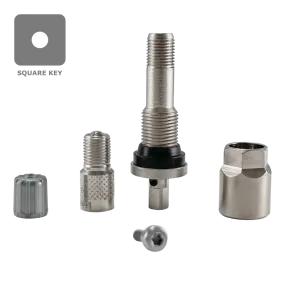 Dill VS241 TPMS Aluminum Stem Service Kit for 2017  Ford Super Duty