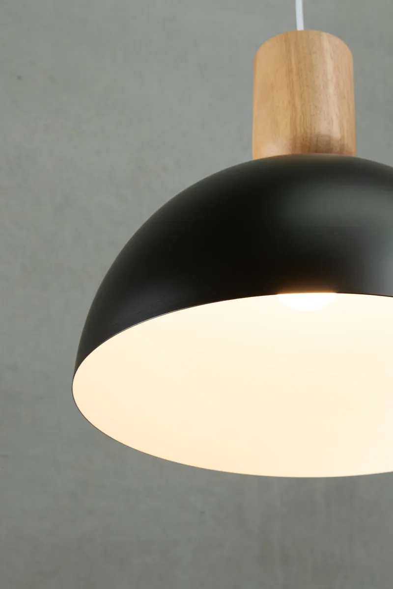 Dome Nord Pendant Light