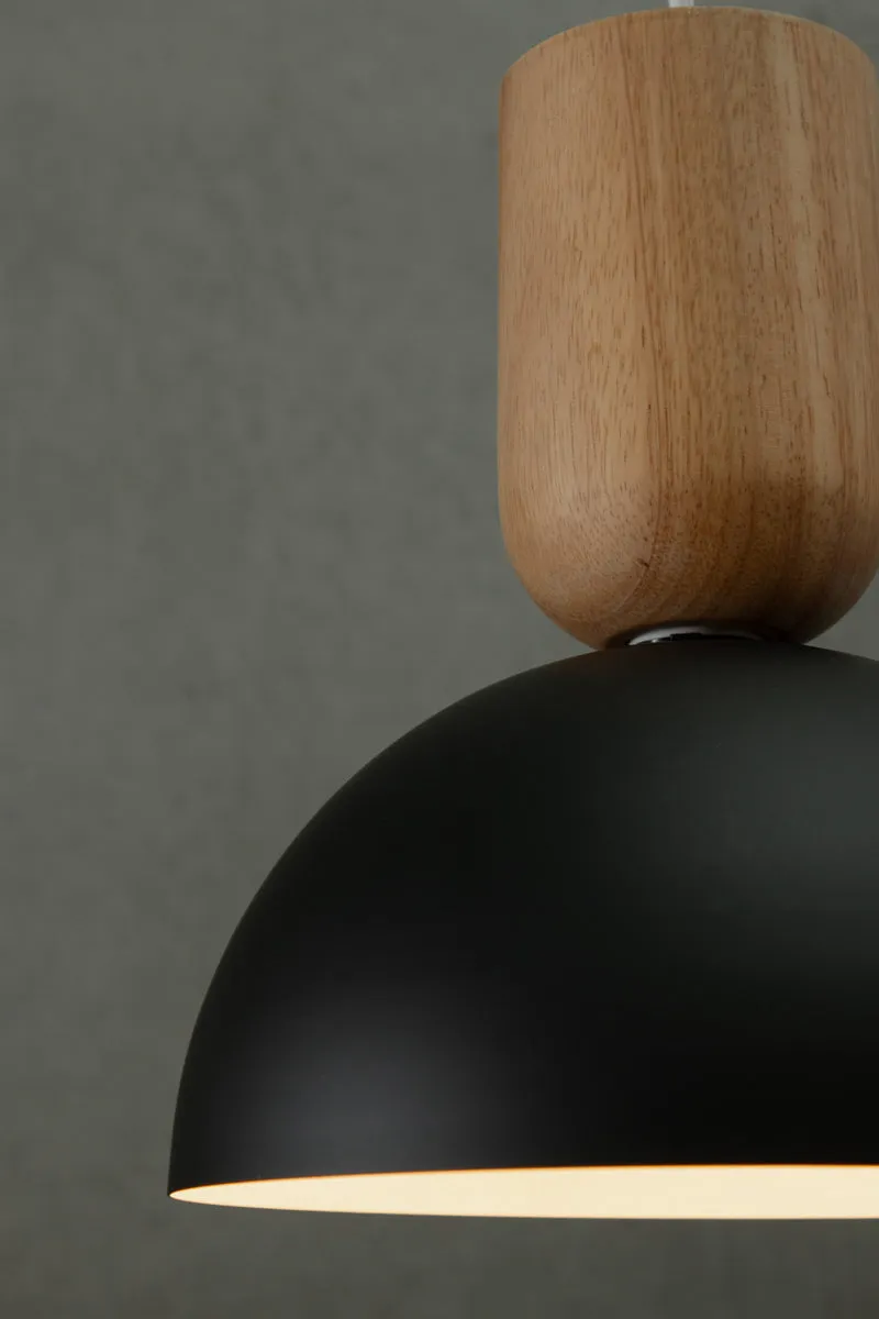 Dome Nord Pendant Light