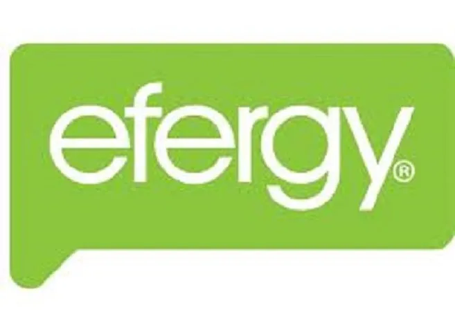 Efergy Elite Classic -3 PHASE  energy monitor ELC-CT-3PHXL