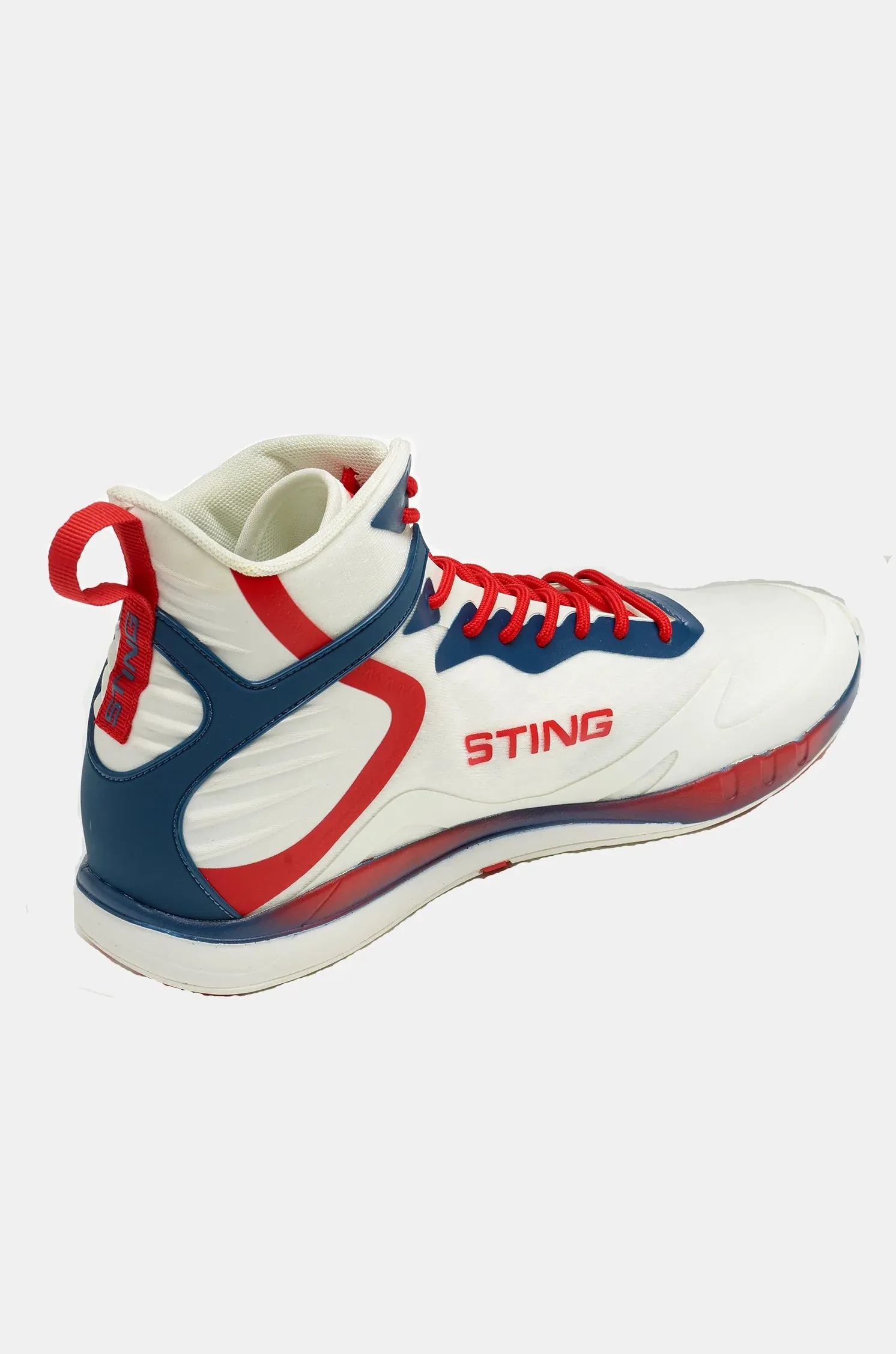 Viper X Boxing Shoes 2.0